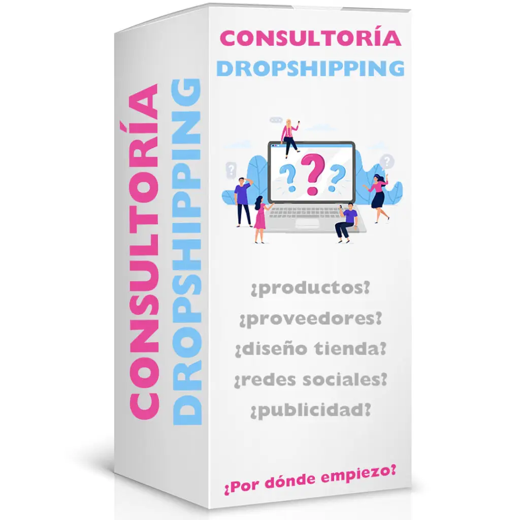 consultoría dropshipping